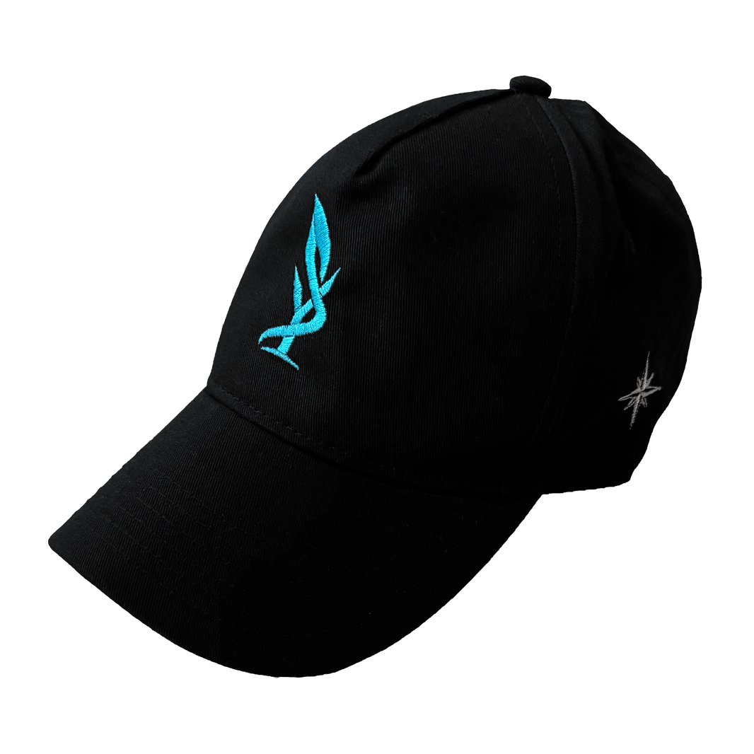 SY - Basecap