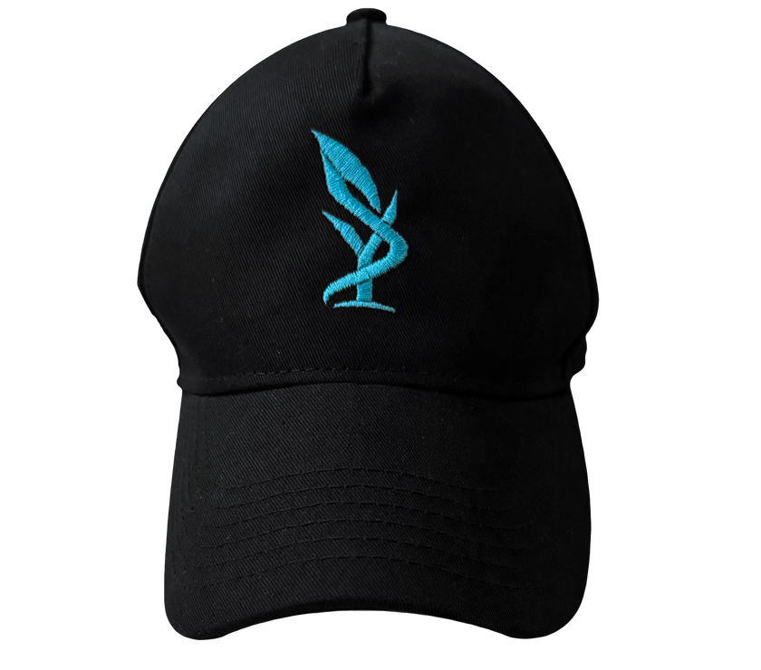 SY - Basecap